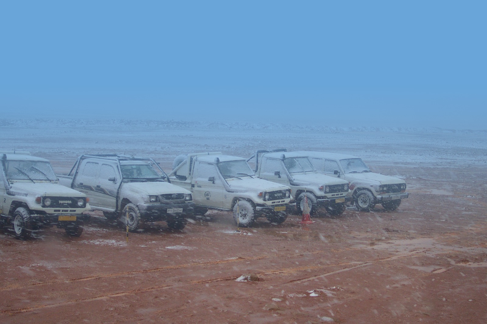 NAGECO gallery image 5