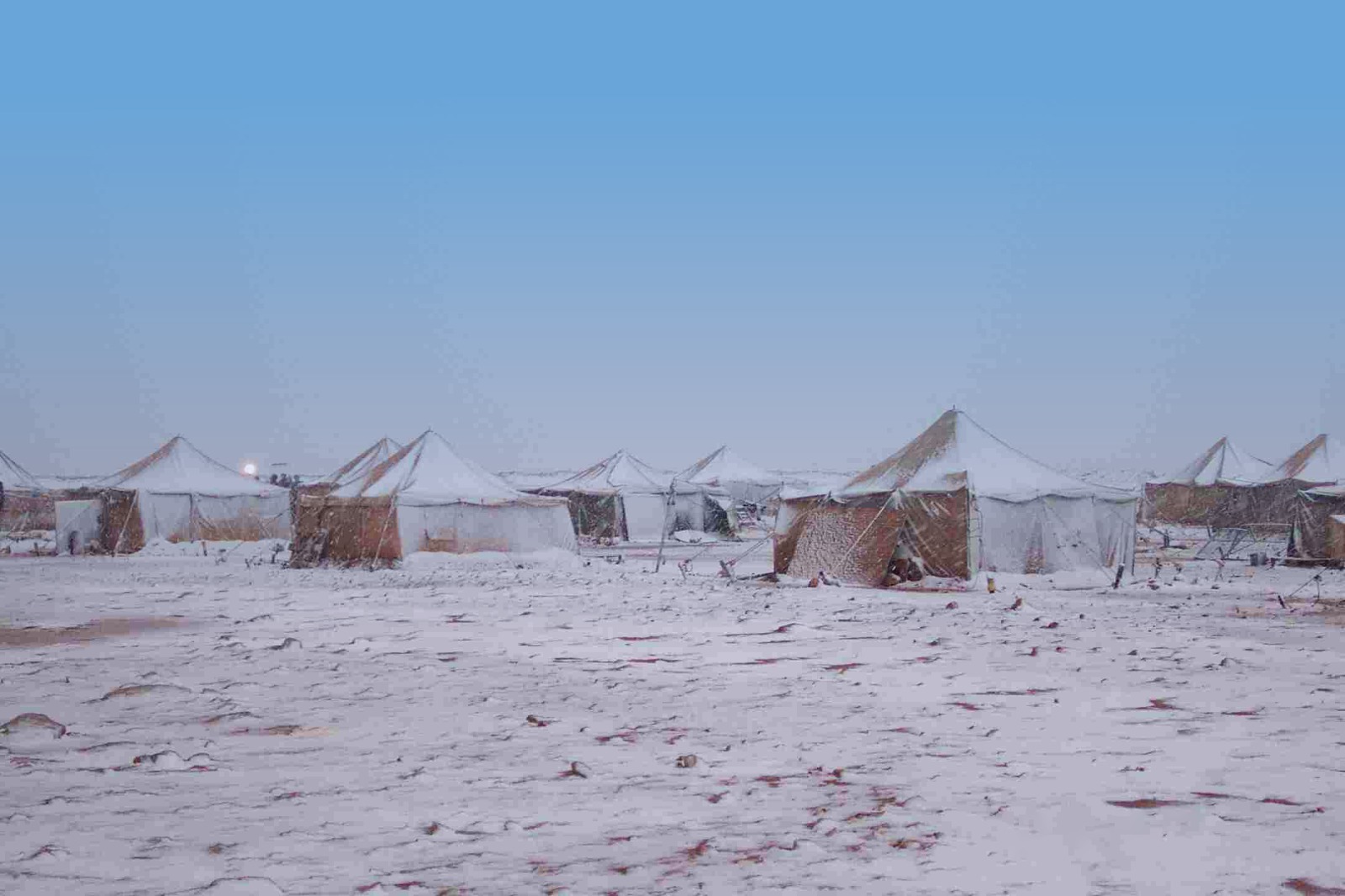 NAGECO gallery image 6