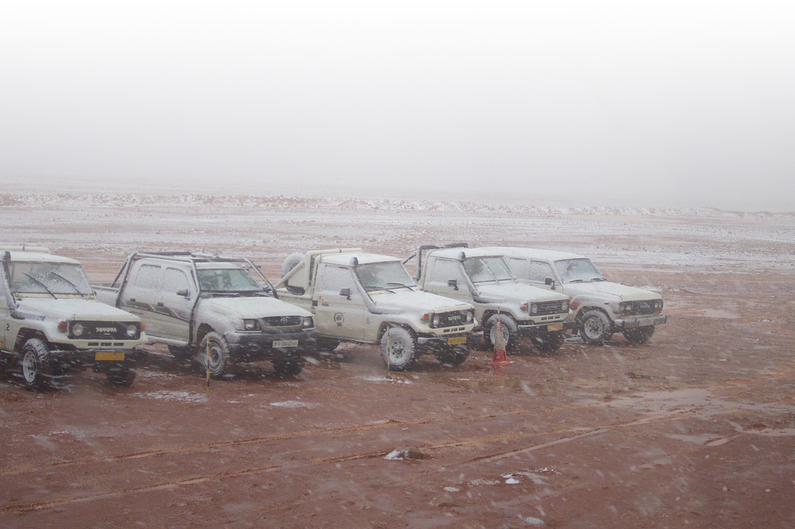 NAGECO gallery image 7