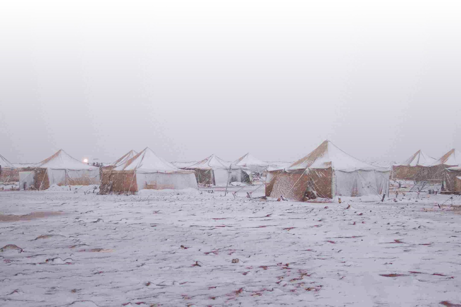 NAGECO gallery image 8