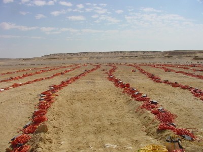 NAGECO gallery image 12