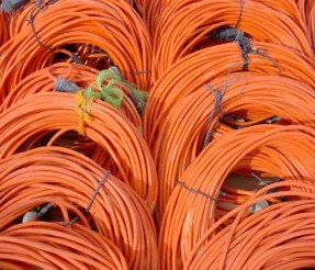 NAGECO gallery image 14