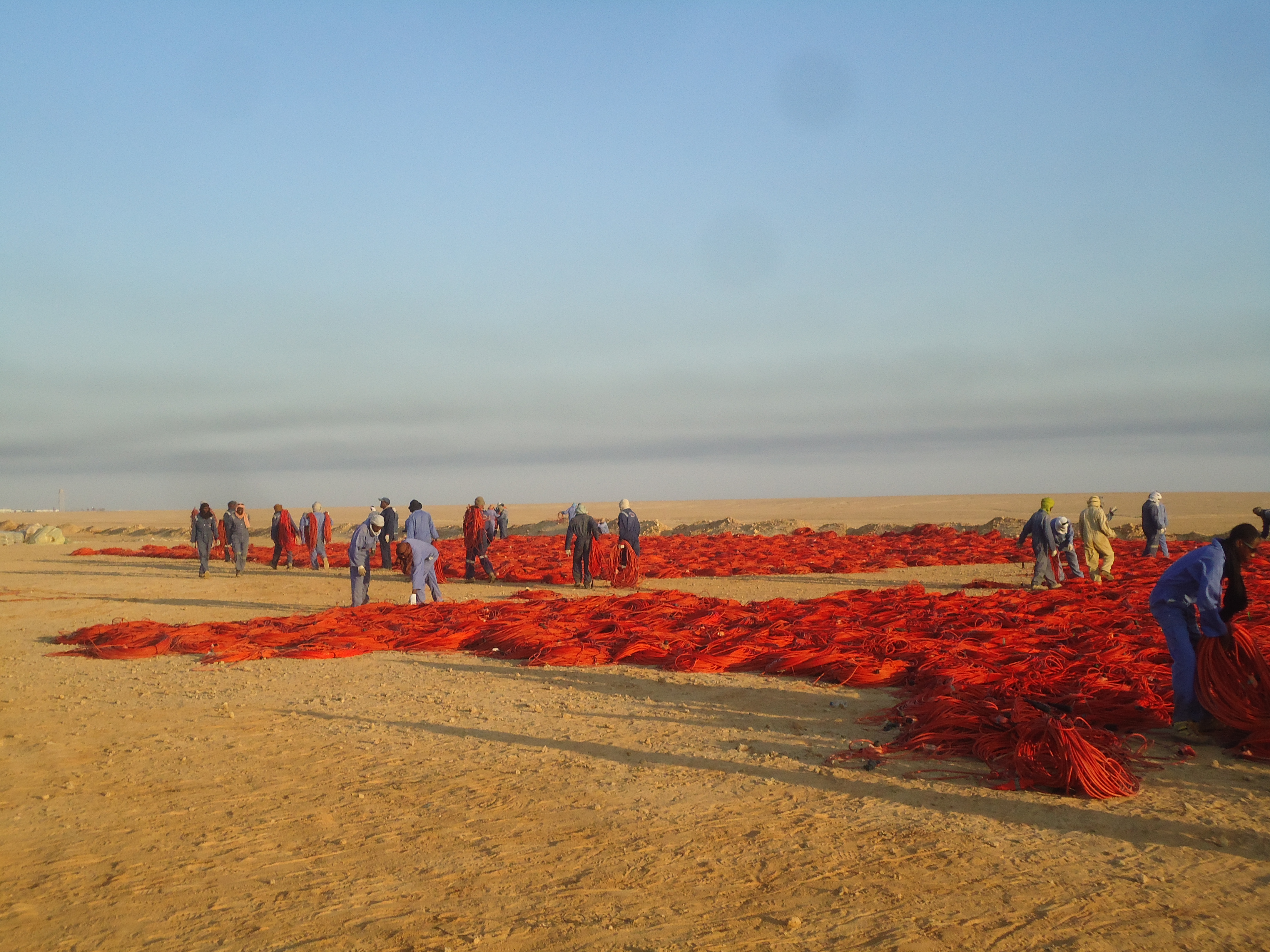 NAGECO gallery image 24