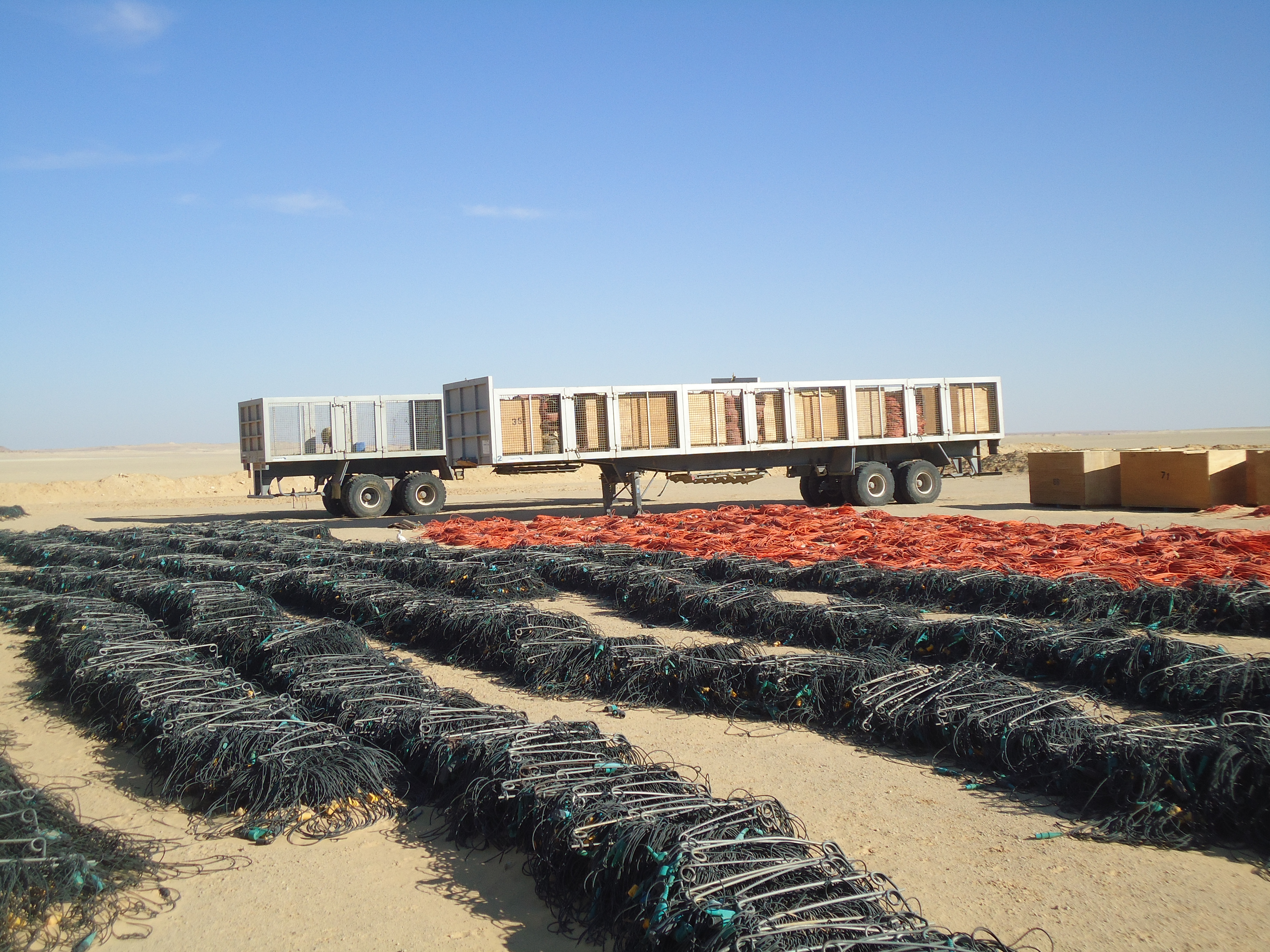 NAGECO gallery image 30