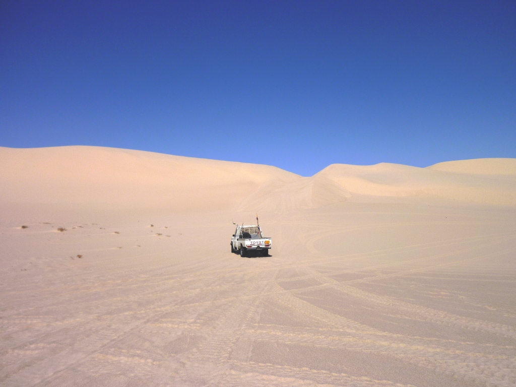 NAGECO gallery image 33