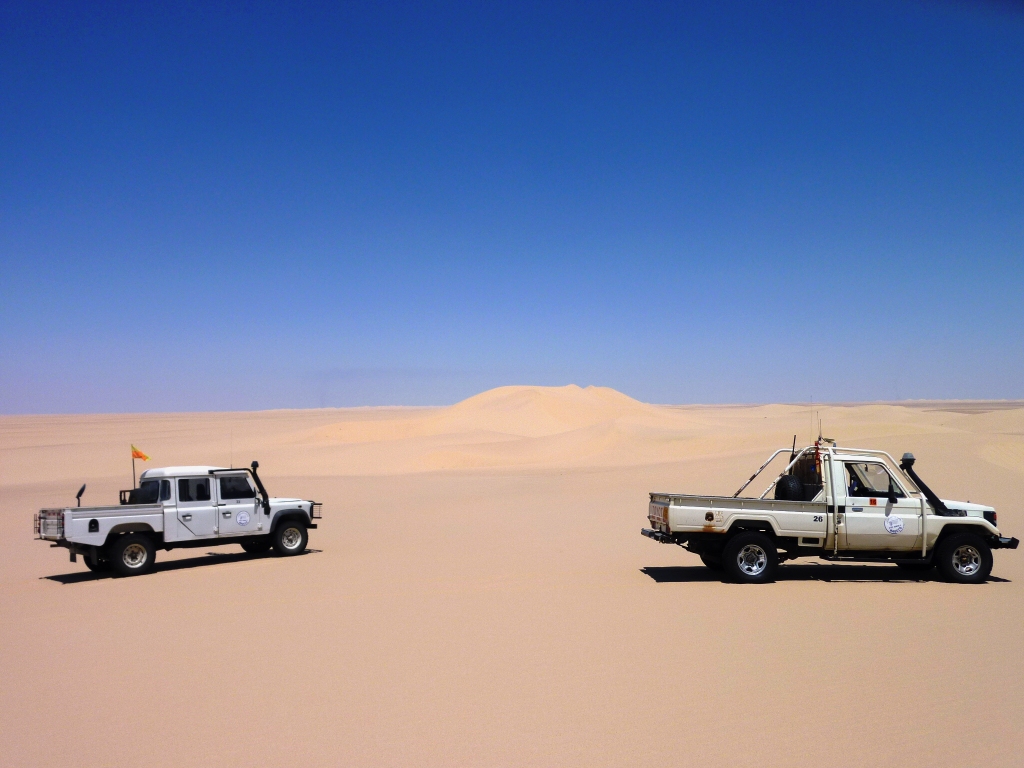 NAGECO gallery image 36