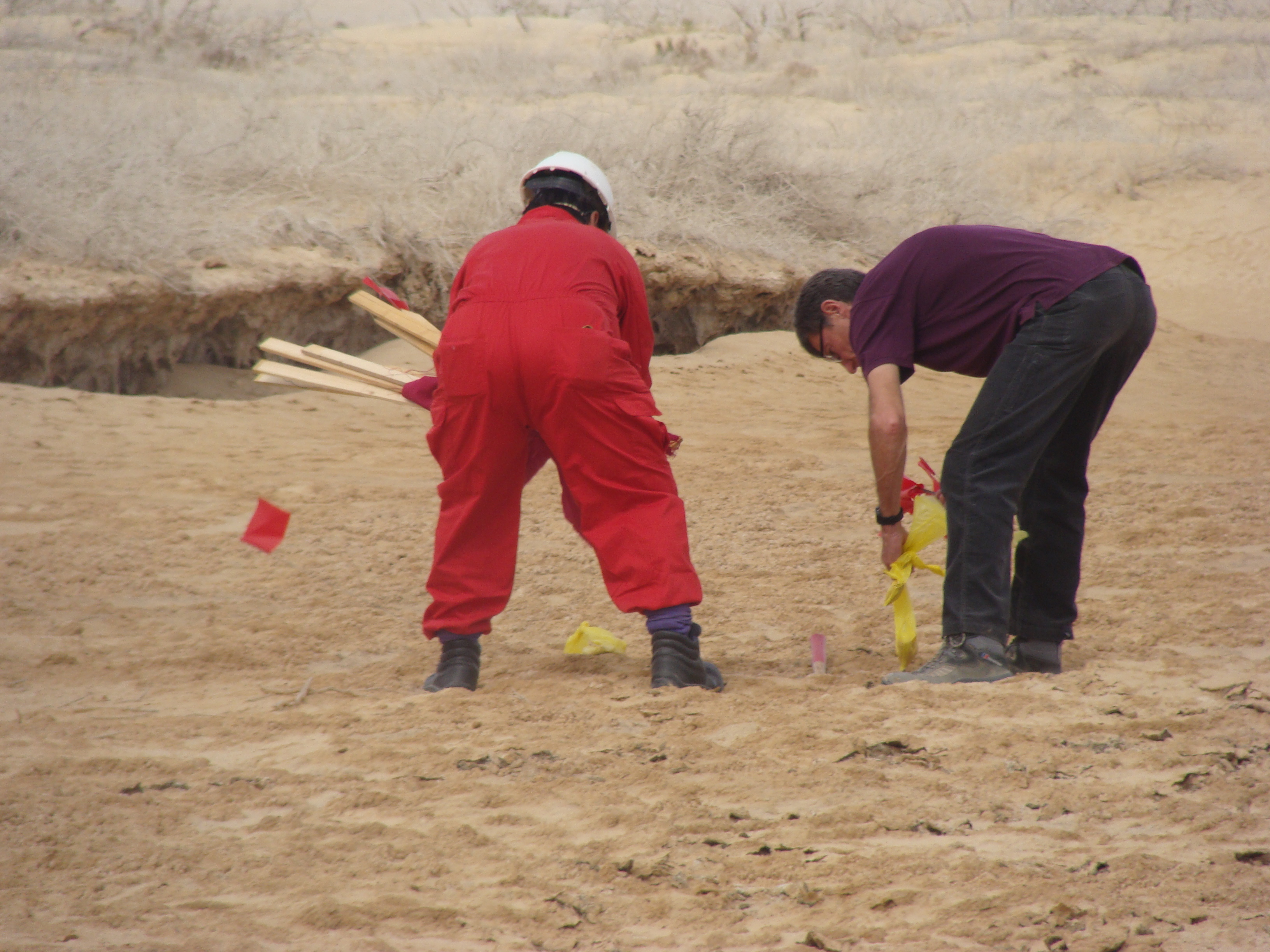 NAGECO gallery image 39