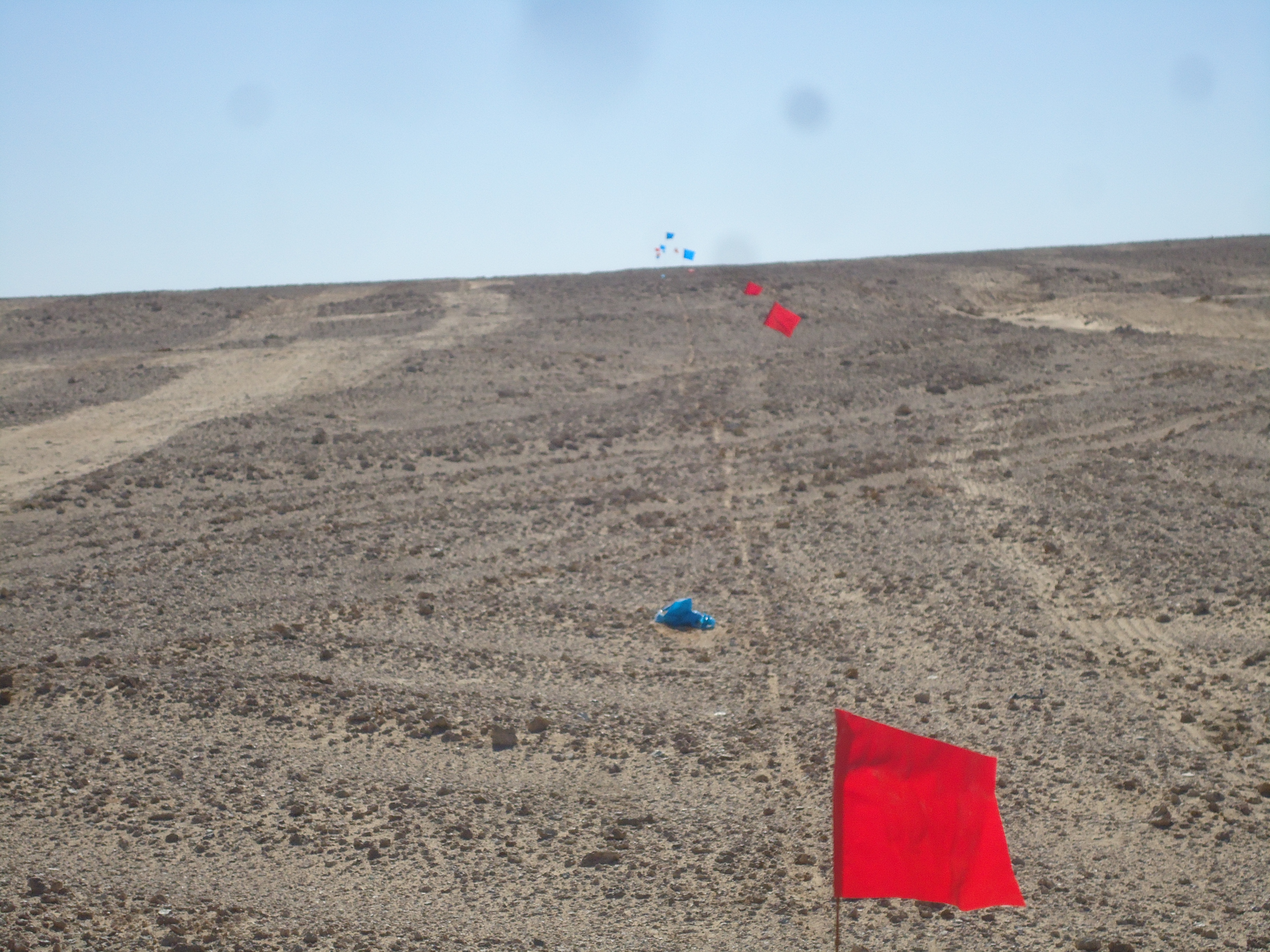 NAGECO gallery image 41