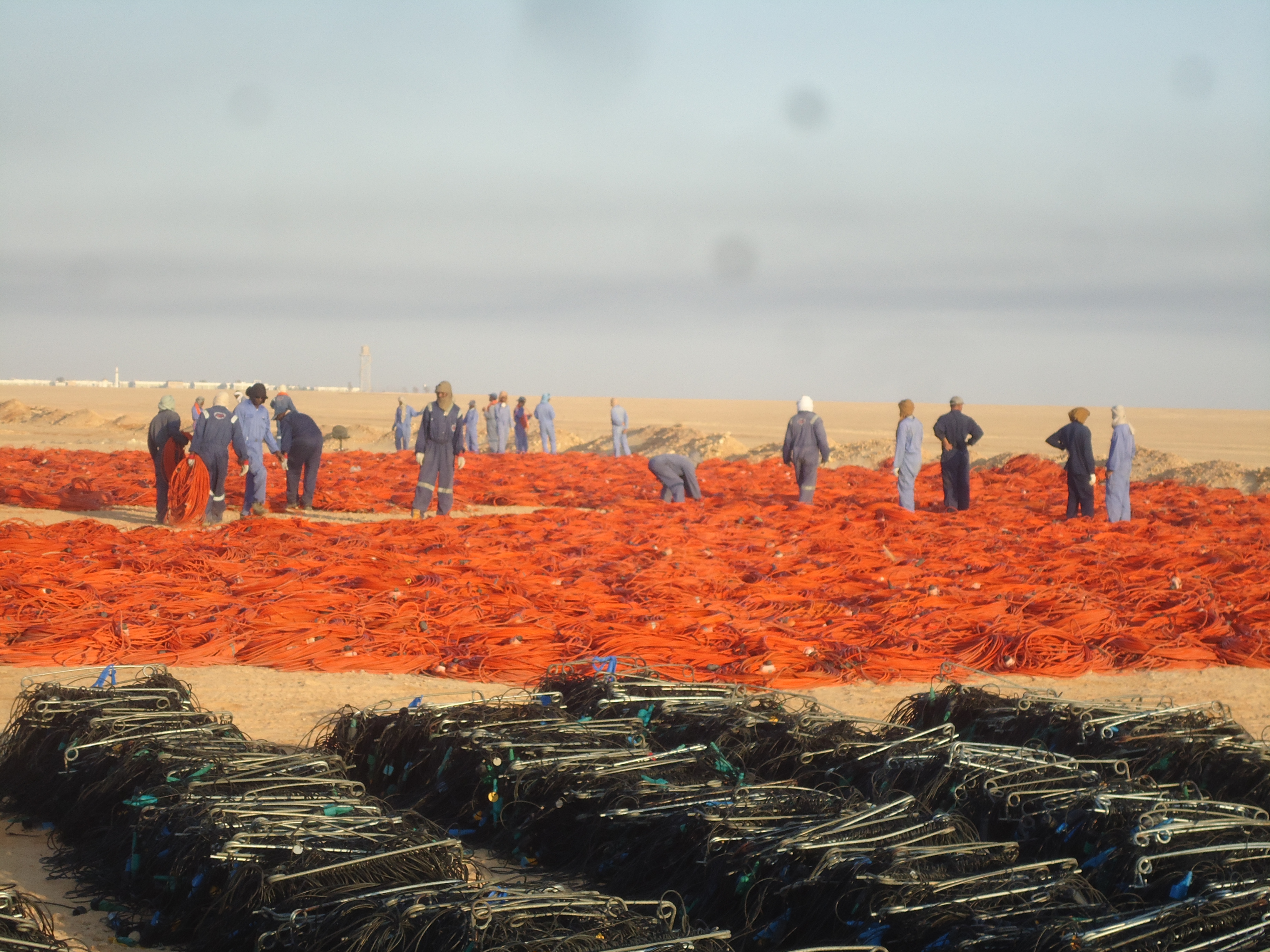 Crew 203 image 6