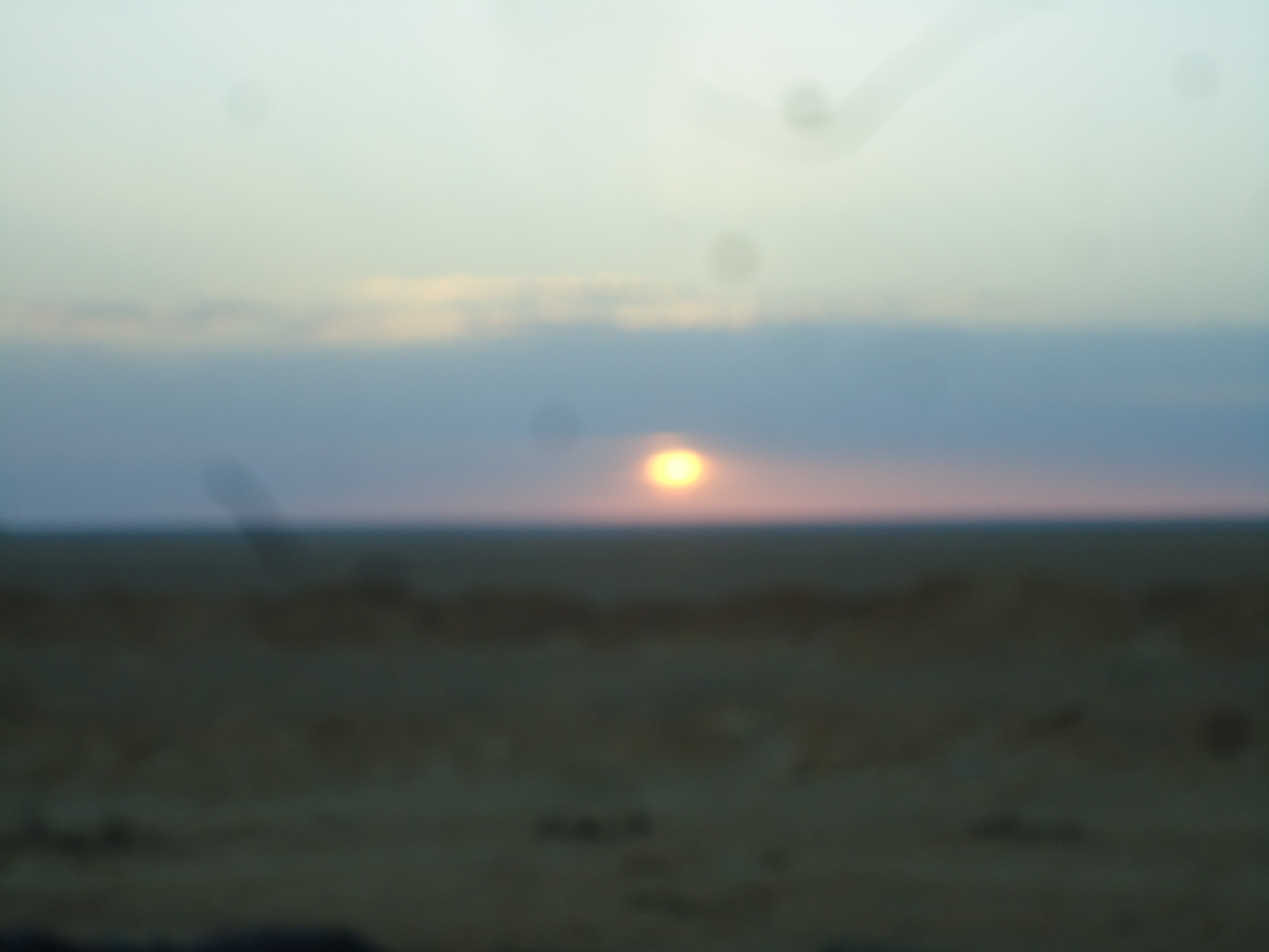 Crew 203 image 13
